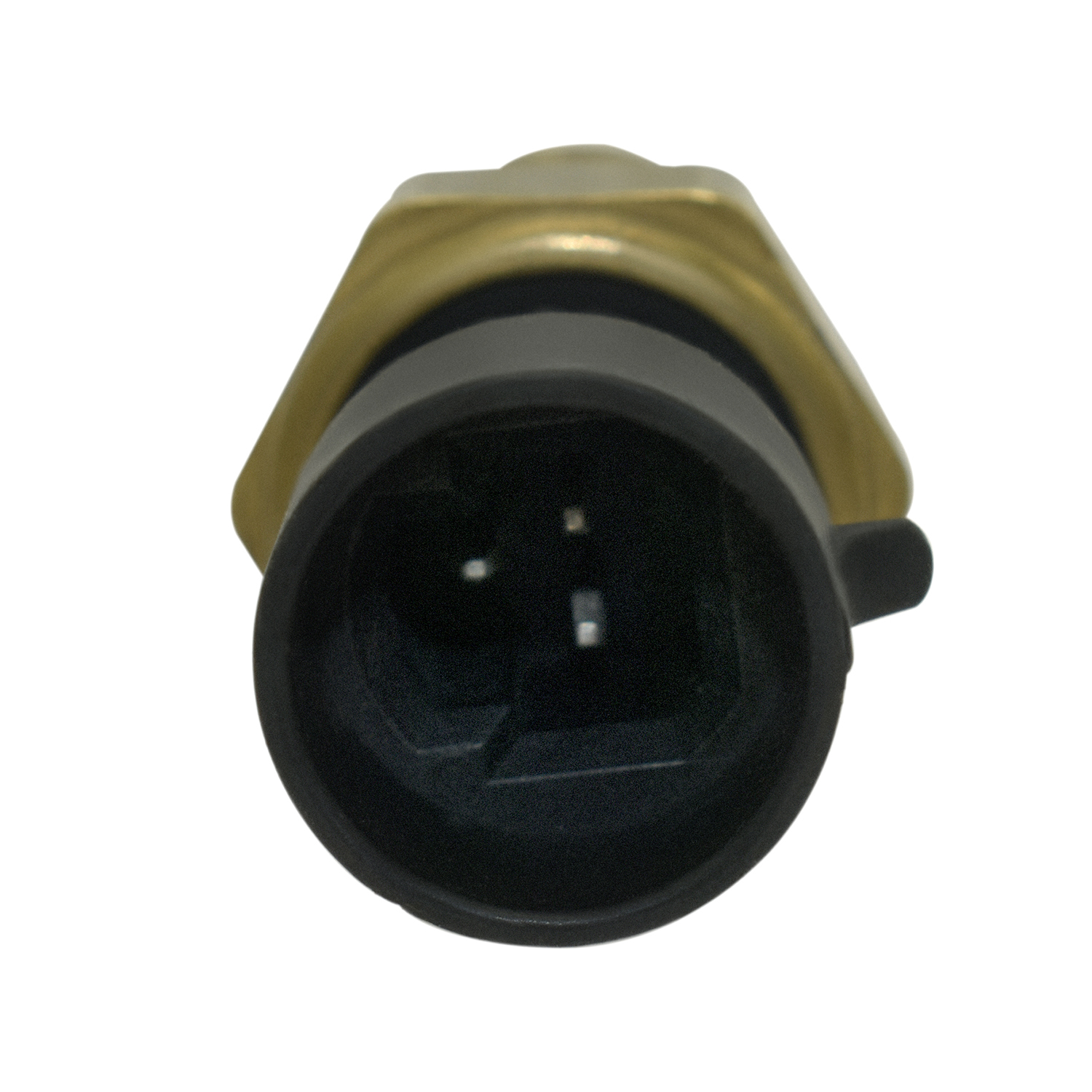 Temperature Temp Sensor 10096181 angle 5