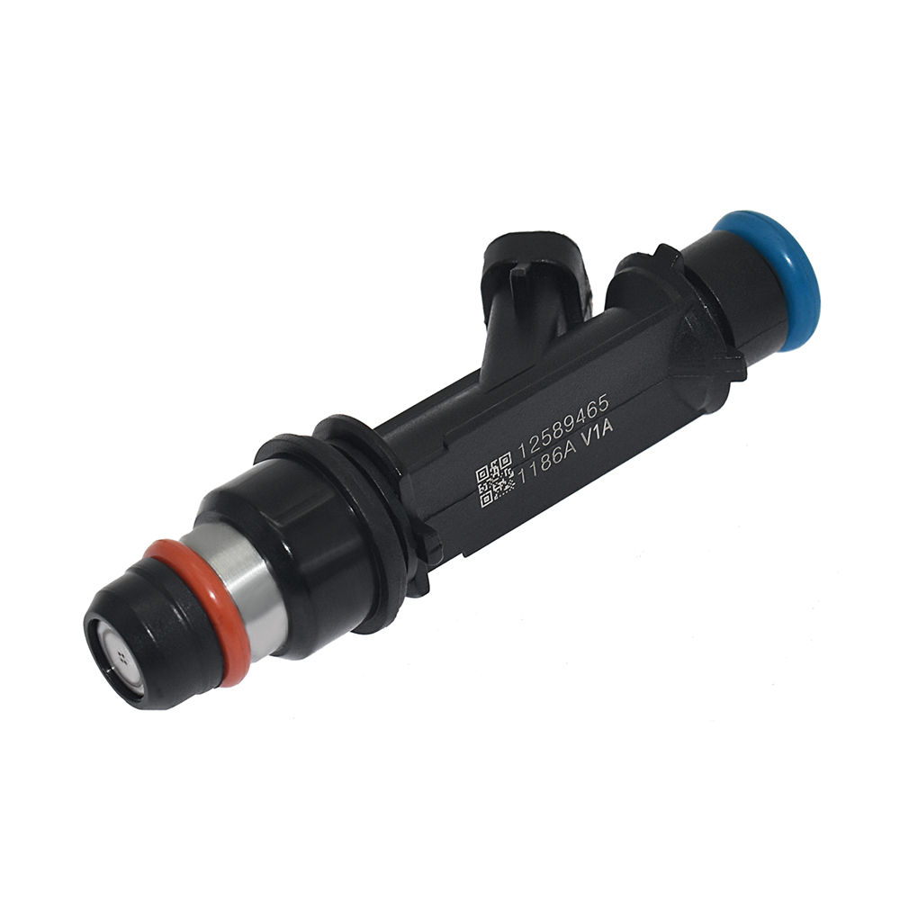 Fuel Injector 12589465P5