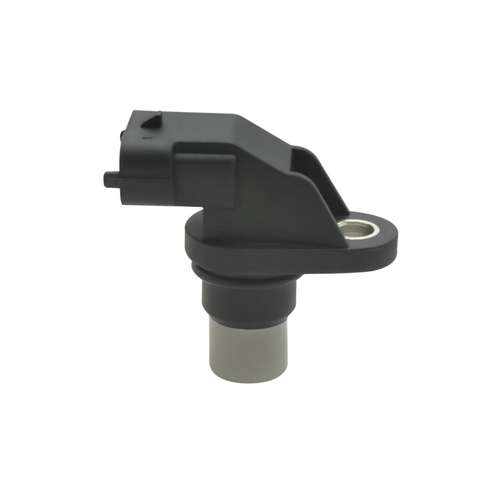 Crankshaft Sensor 420664046